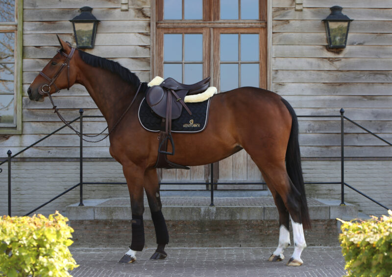 Mandil Jumping Azul - Kentucky - Imagen 3