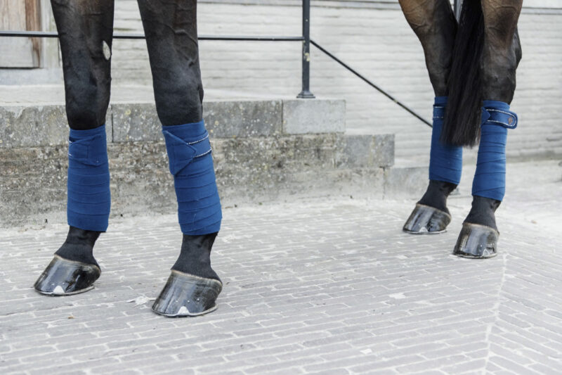 Vendas de polar Velvet Pearls Azul - Kentucky - Imagen 2