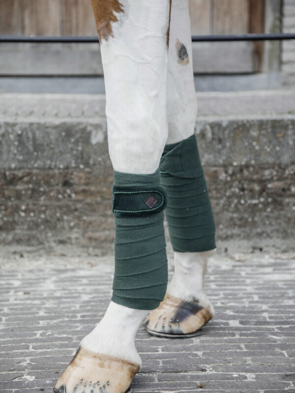 Vendas de polar Velvet Pearls Verde Pino - Kentucky
