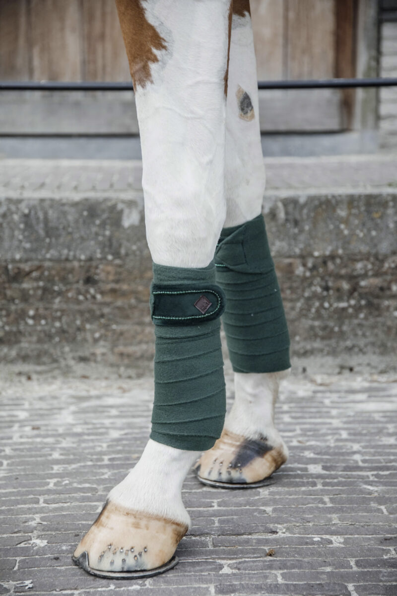 Vendas de polar Velvet Pearls Verde Pino - Kentucky
