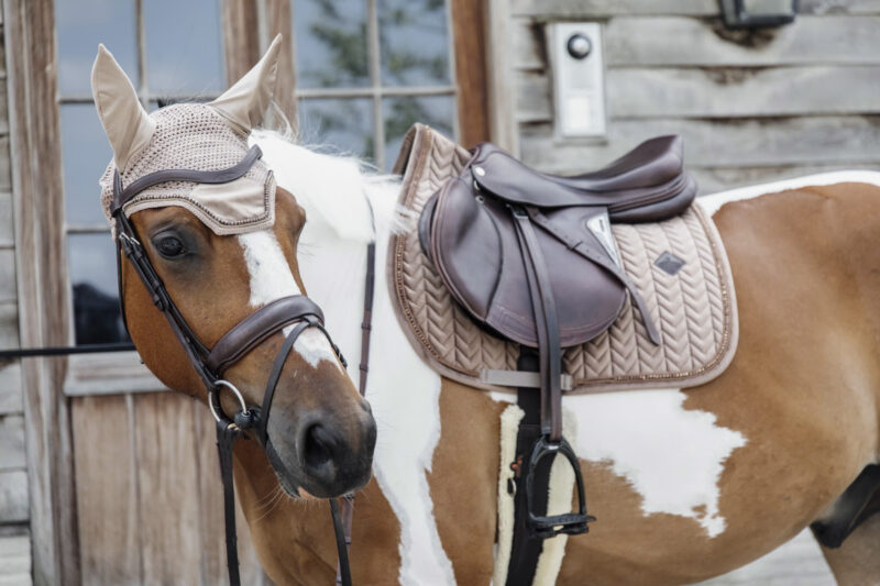 Orejeras Wellington Velvet Pearls Beige - Kentucky - Imagen 3