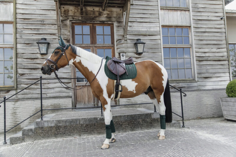 Orejeras Wellington Velvet Pearls Verde Pino - Kentucky - Imagen 2