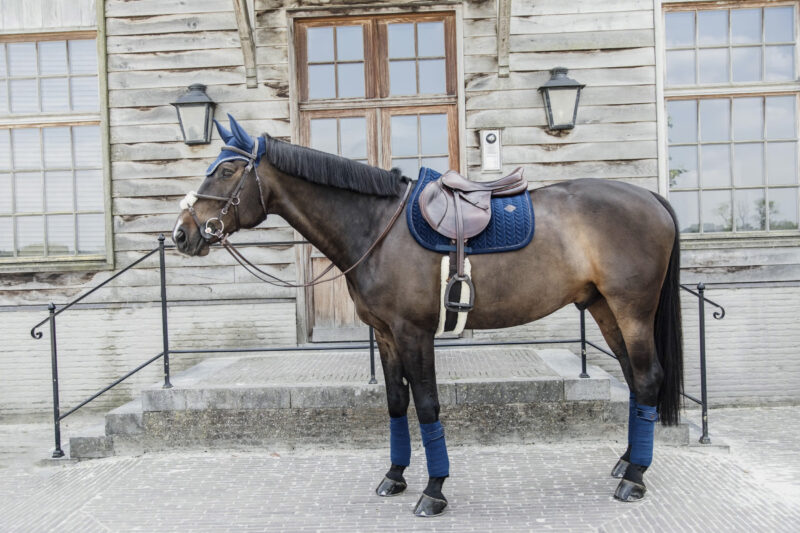 Orejeras Wellington Velvet Pearls Verde Azul - Kentucky - Imagen 3