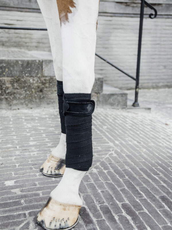 Vendas de polar Velvet Pearls Negro - Kentucky