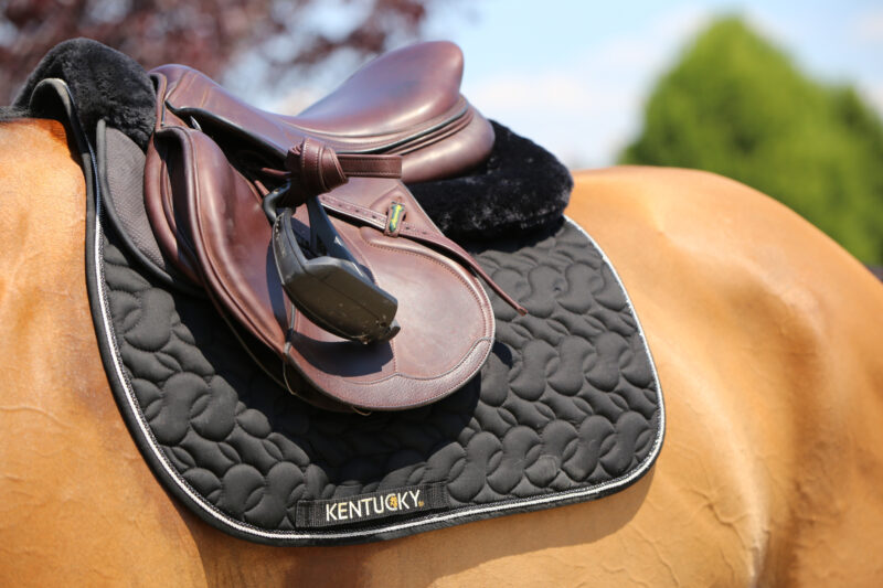 Bajo asiento Anatomic con corderito Negro - Kentucky - Imagen 12