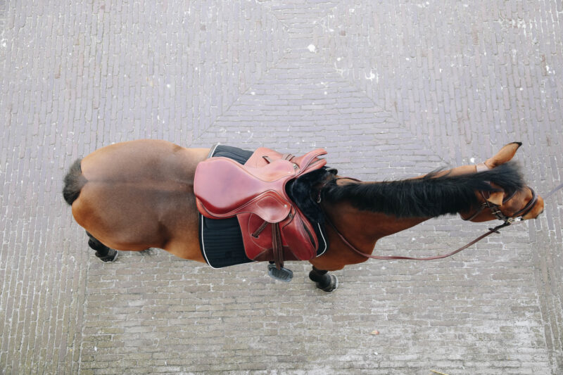 Bajo asiento Anatomic con corderito Negro - Kentucky - Imagen 9