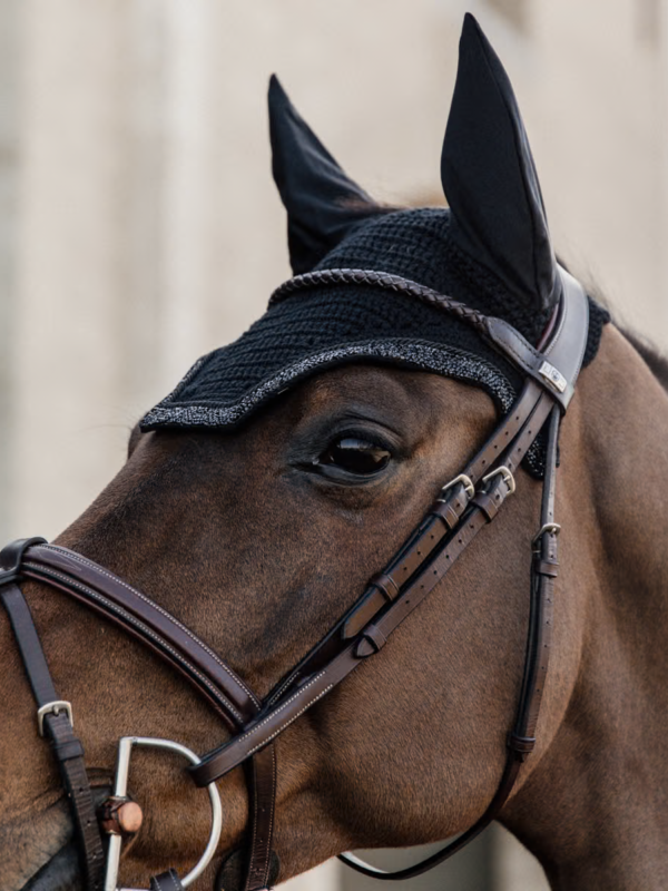 Orejeras Wellington Glitter Stone Negro - Kentucky